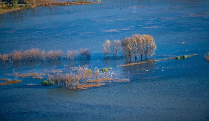 念湖 陈南英 摄