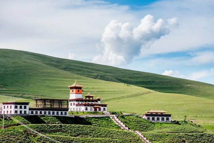 除了美食外，青海的自然风景也格外吸引人