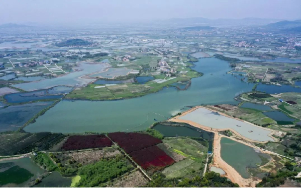 ▲ 武汉蔡甸东部清水入江项目湖泊治理工程  摄影：汤伟