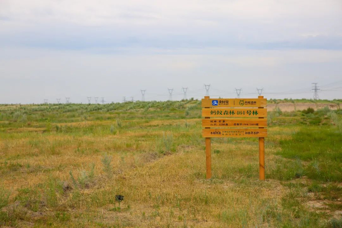 “蚂蚁森林”防沙治沙项目