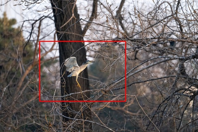 &nbsp;ISO 5600实拍样片，红色为截图区域