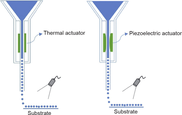 图1 喷墨生物打印示意图。经Elsevier许可转载自参考文献，©2018
