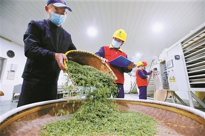     工作人员来到余姚三七市农业种植基地，提供智慧供电服务。