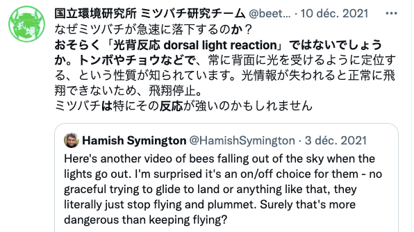 日本国立环境研究所的蜜蜂研究团队对熊蜂现象的评论。