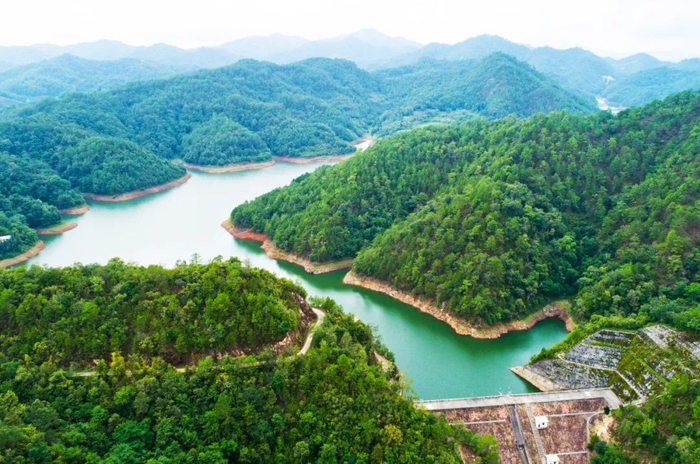 云南省林业和草原局 供图