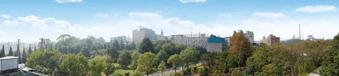 图为湖北振华化学股份有限公司全景。（杨扬  摄）