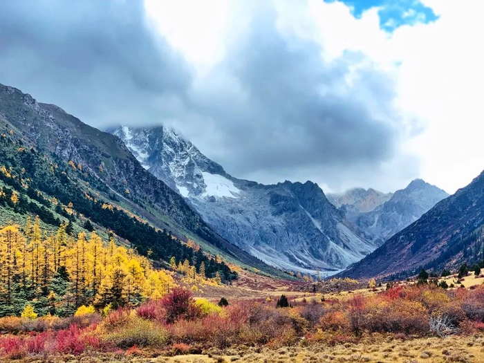 迪庆州委宣传部供图