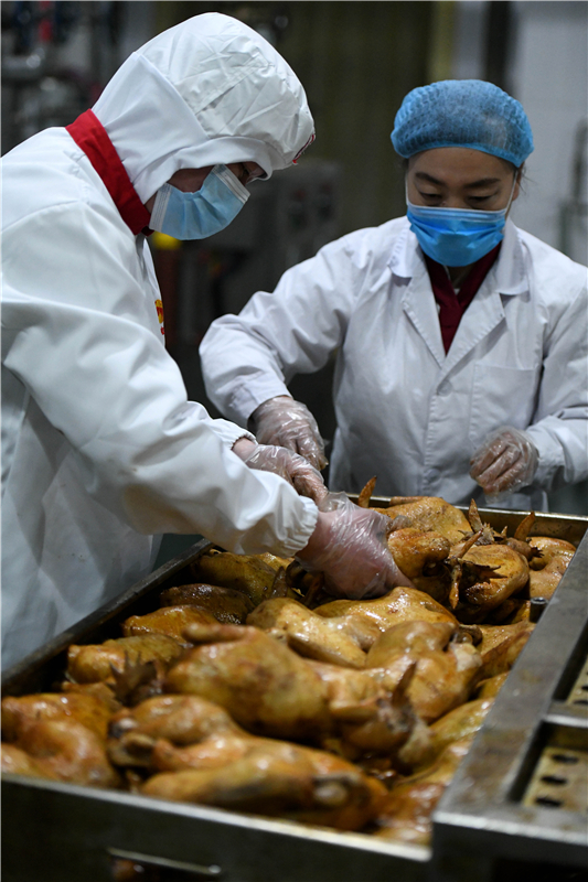 工作人员将制作好的鸡体进行整理摆放。新华社发（许建园摄）