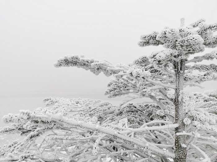 昆明轿子雪山旅游景区 供图