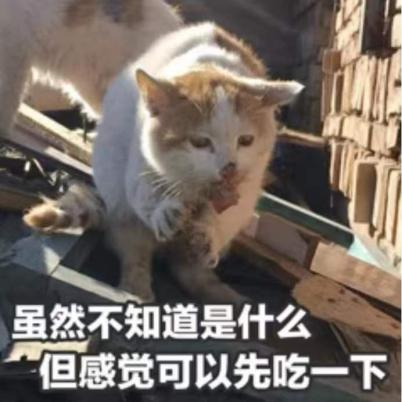 （图片来自网络）