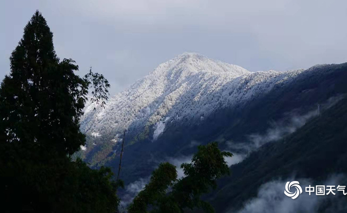 受南支槽东移影响，云南贡山在虎年前夕经过雨雪洗礼。肖金宜 摄
