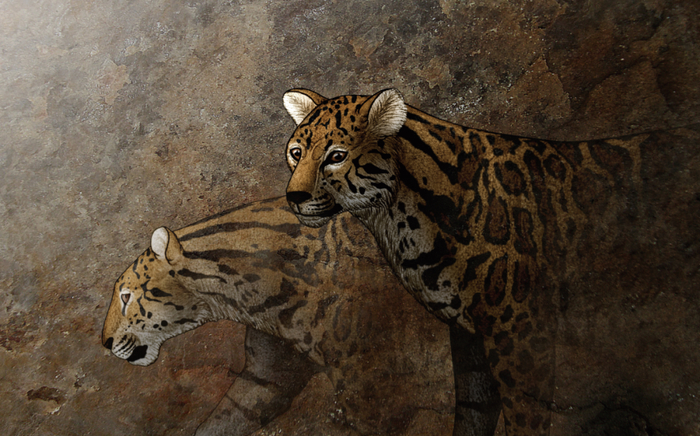 古中华虎复原图。陈瑜 绘