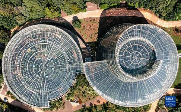 空中俯瞰扶荔宫  江文耀 摄