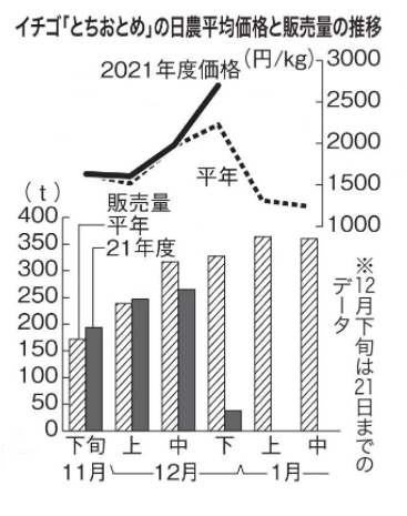 2021年日本草莓王牌枥木少女均价和销售量示意图