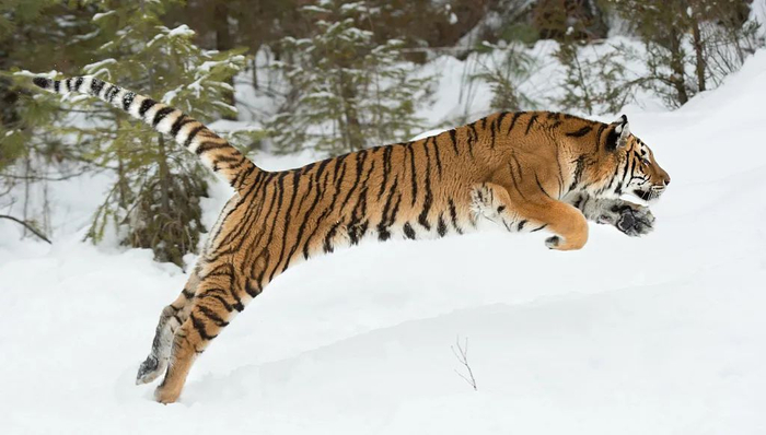 图源：视觉中国