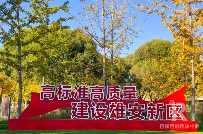 雄安市民服务中心。王铁成 摄