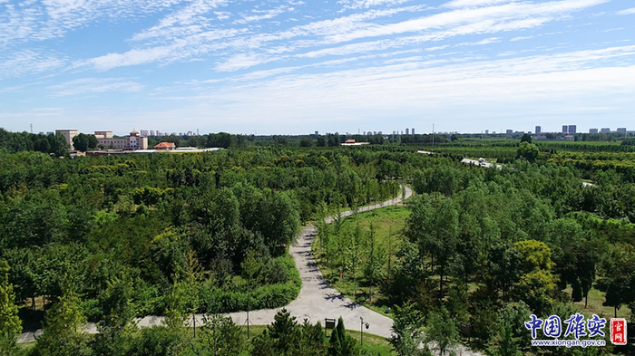 “千年秀林”郁郁葱葱。高盟摄