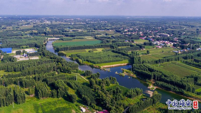 雄安新区雄县大清河航拍图。王京卓摄