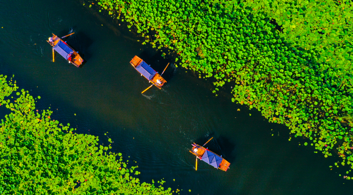 改造升级后的白洋淀景区。河北日报记者耿辉 摄