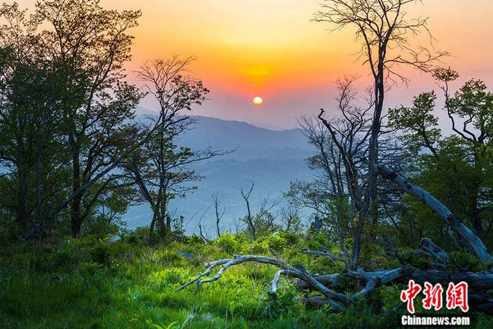 东北虎豹国家公园风光。东北虎豹国家公园供图