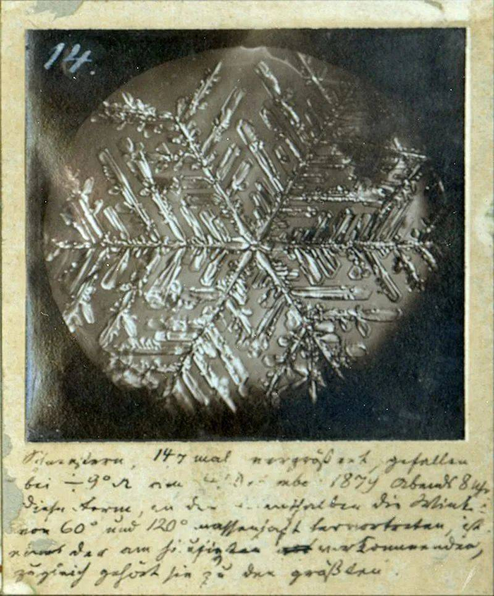 弗洛格于1879年拍摄的雪花照片