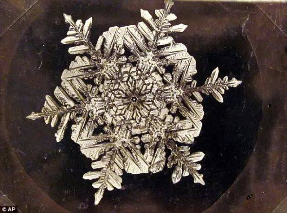 本特利获得的第一张雪花照片