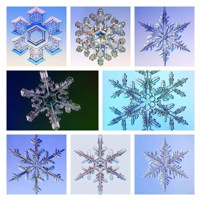 利用现代技术拍摄的雪花照片