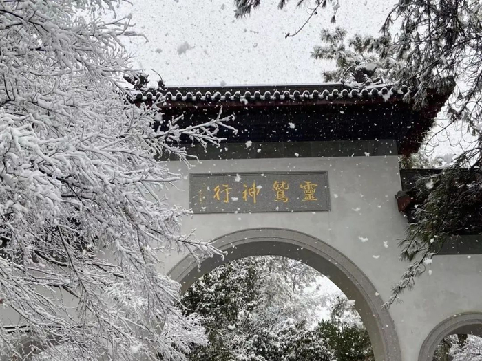 ▲杭州灵隐支路。杨尚其 摄