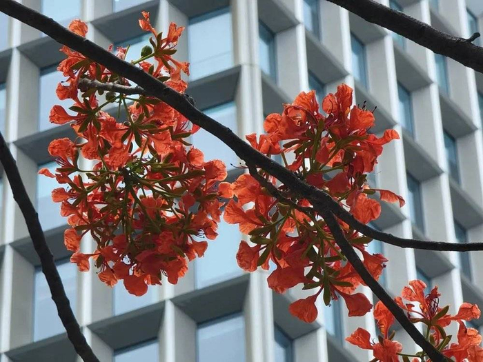 三星 S21 Ultra，10X 潜望式长焦镜头