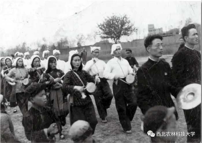 1949年，西农学生、青年教工