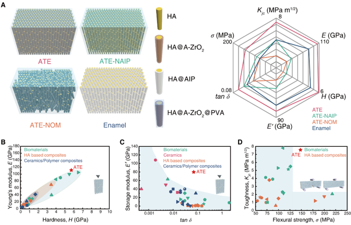 图2. 类牙釉质复合材料的力学性能