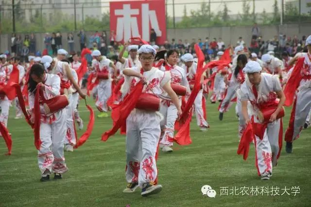 校运会上的腰鼓表演