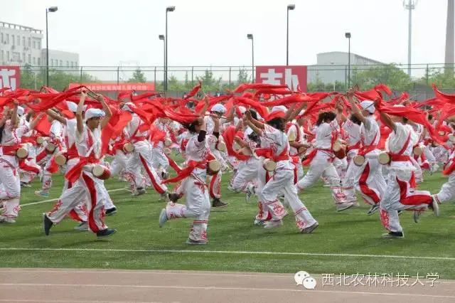 校运会上的腰鼓表演