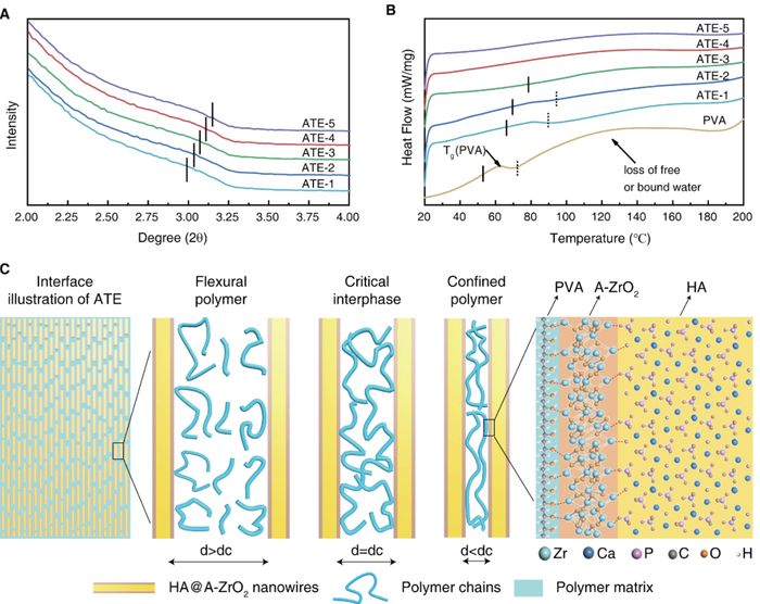图3. 类牙釉质复合材料的结构限域与界面增强机制