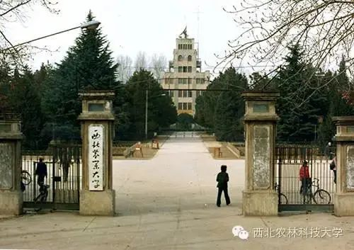 1986年的北校大门