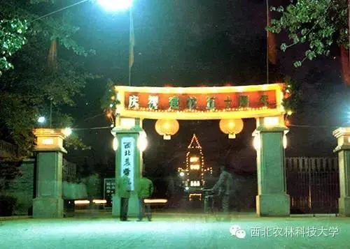 1984年的北校大门