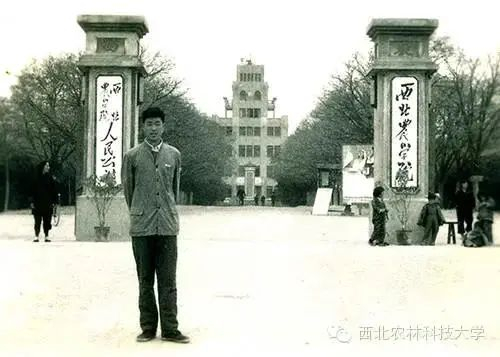 1959年的北校大门