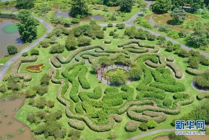 中科院版纳植物园百花园一景。图源：新华网