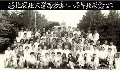 1988年西北农业大学畜牧系毕业生留念