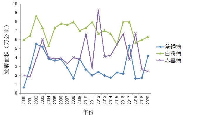 小麦三大病害趋势图，图中可见小麦白粉病发病面积居高不下。作者供图