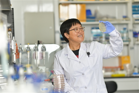 高彩霞 受访者供图