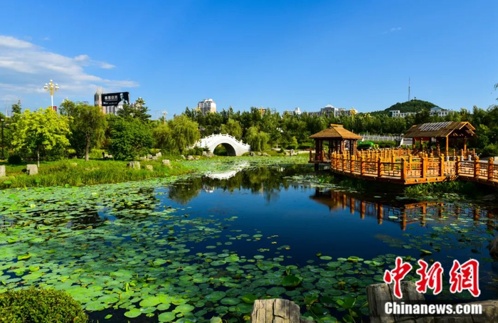 七台河市一角。   于利军 摄