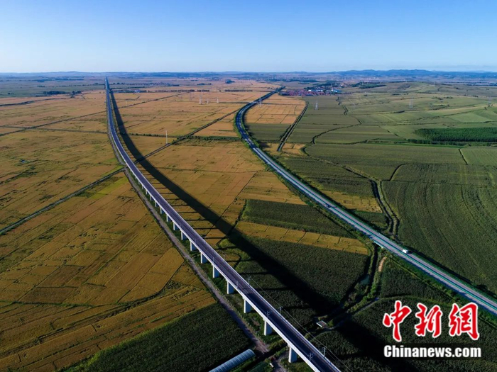 七台河市的高架桥横跨东西。  徐志文 摄