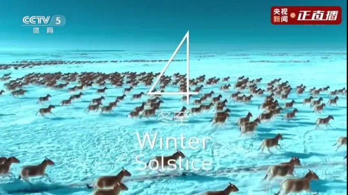 万驴奔腾在卡拉麦里 冬奥会开幕式画面截图