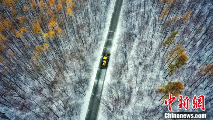 七台河冬季林海美景。林雷 摄