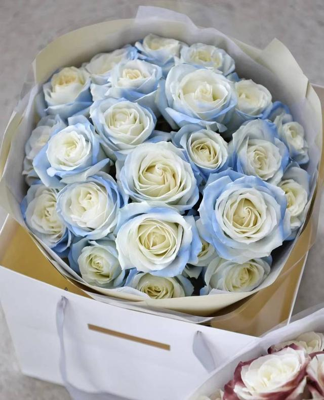 图片来源于网络