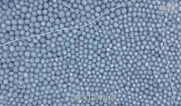 图片来自新华社视频