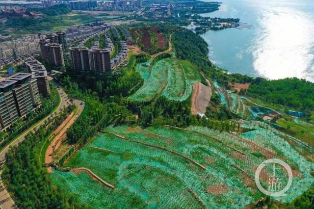 ▲长腰山生态功能基本丧失，被拆除部分已种上树苗。图片来源/中国房地产报