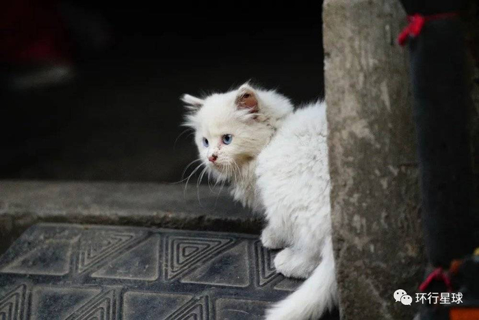 龙门邨，2021.4~12