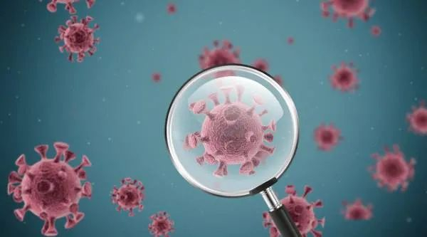 图源：图虫创意